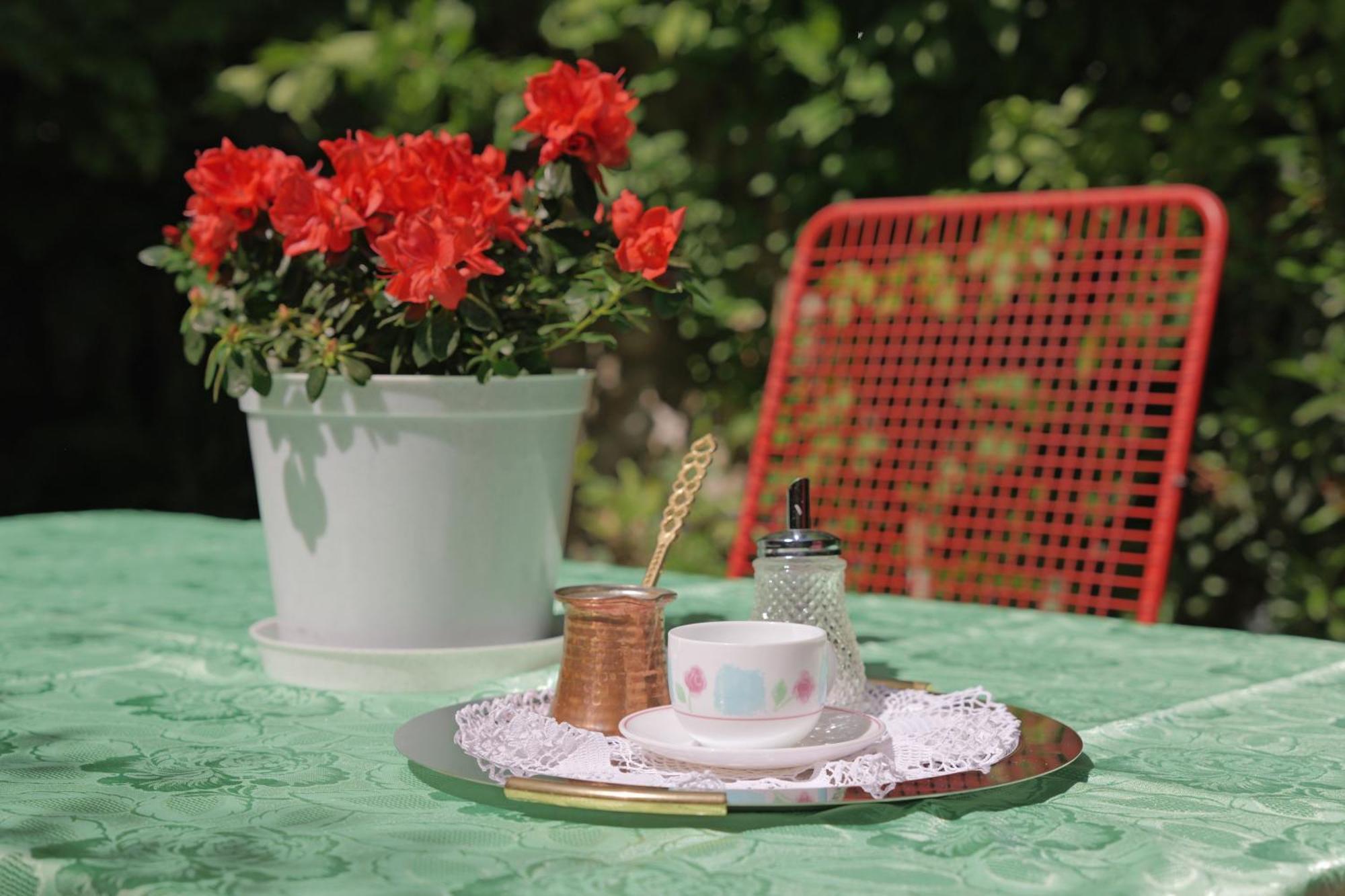 דוברובניק Old Town Green Oasis House מראה חיצוני תמונה