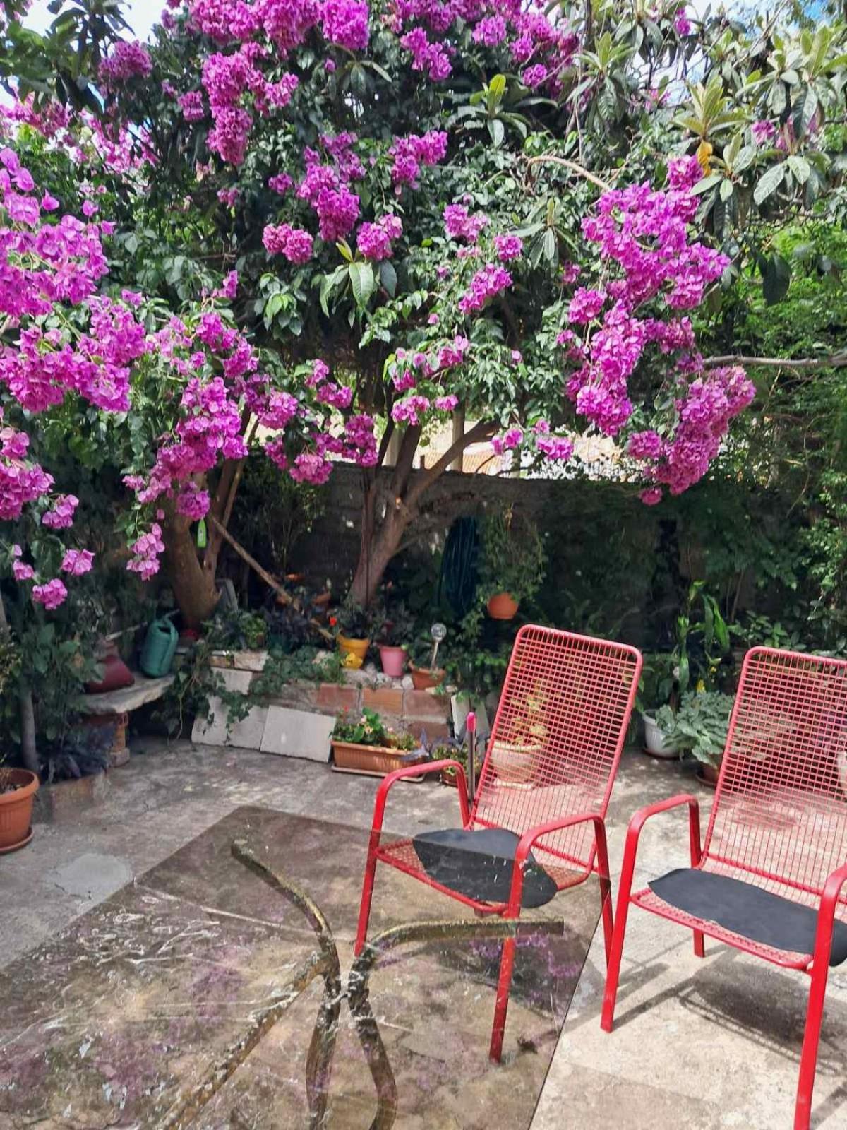 דוברובניק Old Town Green Oasis House מראה חיצוני תמונה